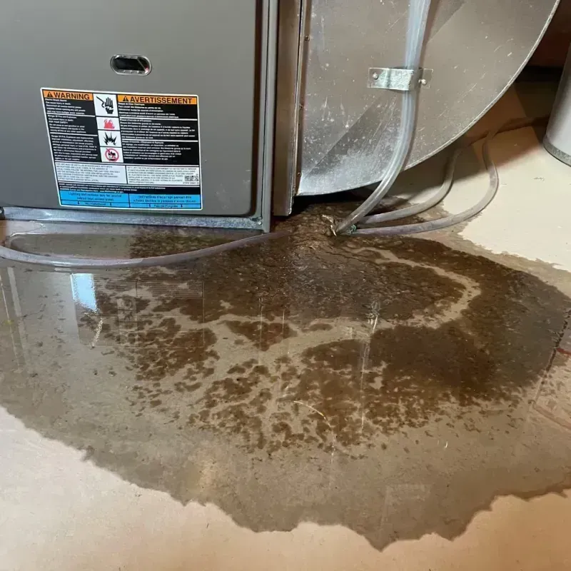 Appliance Leak Cleanup in Barton County, KS